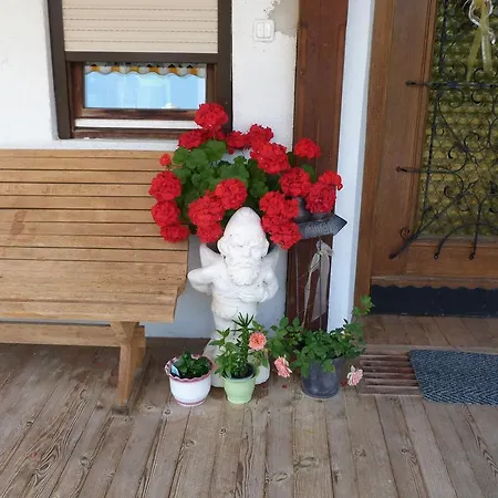 Apartment Haus Brantner *