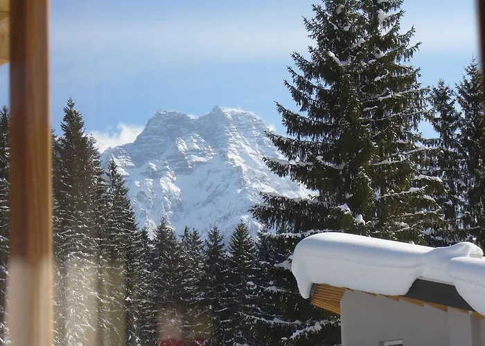 Apartamento Haus Brantner *